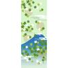 Hamamonyo Illustrated Hand Summer Maple Leaves and Fuji Towel Mt.