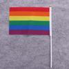 10Pcs LGBT Rainbow Flags Dacron HandHeld Flag Small Rainbow Hand Flag  Party Decorations