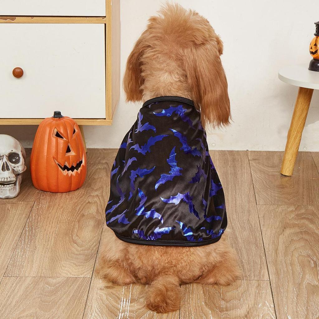 Magic Halloween Cloak for Small Dogs & Cats - Teddy Poodle Costume