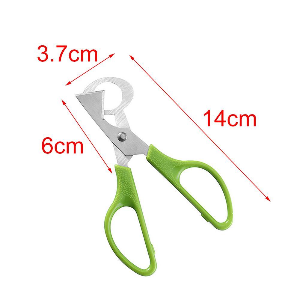 Ножницы для скорлупы перепелиных и голубиных яиц, открывалка, сепаратор скорлупы, нож для сигар