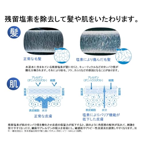 [Оригинальный продукт] Фильтрующая насадка для душа Toray Trevino Toray Shower RS51/RS52/RS53/RS54-AZ Сменный картридж 1 шт. RSC51