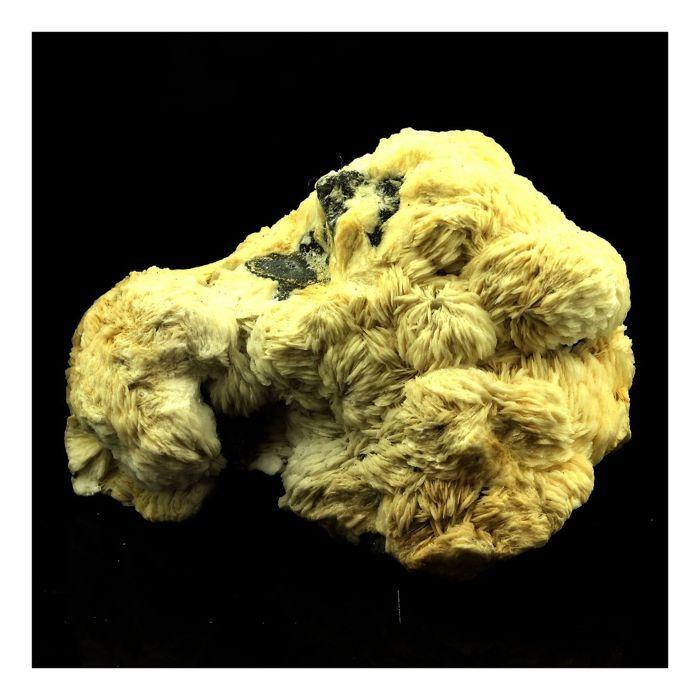 Pierres et Minéraux. Baryte. 2619.0 ct. Les Cèdres, Saint-Laurent-le-Minier, Occitanie, France.