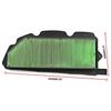 17215-HL4-A02 Air Filter & Gasket for Honda Pioneer 1000