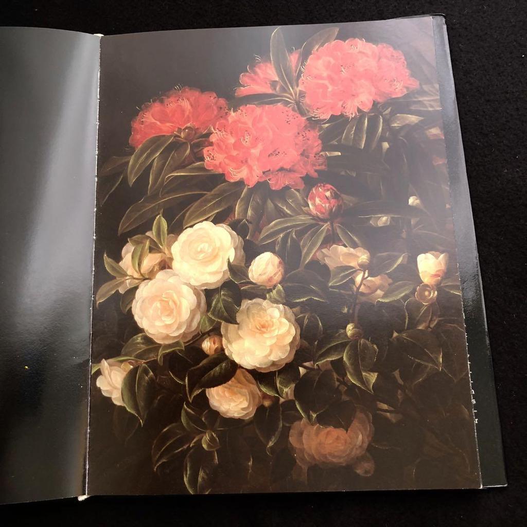 [USED] Andersen's Poetry and Botanical Art Collection "und eine kleine Blume