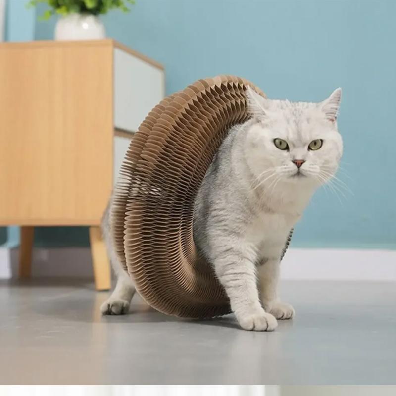 Волшебная кошачья органная доска, игрушка для кошек с мячом, шлифовальный коготь для кошек, рама для лазанья для котенка, круглая гофрированная игрушка для кошек, когтеточка