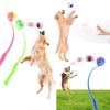 Natural Skills Tennis Chucker Toy Fetch Retrieve Dog Ball Thrower Launcher Interactive Dog Toys