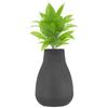 Flower Vase with Rust-Resistant Coating | Stylish and Easy-to-Clean Finish | Compact Design for Modern Décor | Bouquet Vase (Big)