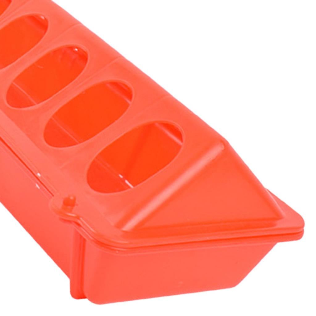 Plastic Top Poultry Feeder Birds Feeding Trough for Livestock Pigeon Cockatiels