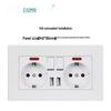 European German Standard Dual USB and Type C Socket Panel