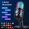 Recordable Noise Reduction Luminescent Rgb Microphone Give Out Light Usb Microphone Denoise Condenser
