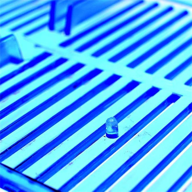 Большой двухсекционный ящик для бойцовых рыбок, экологический аквариум для рыбок, мини-аквариум, пластиковый изоляционный ящик для разведения рыб