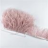 10Meters Colored Ostrich Feathers On Ribbon Trim 8-10Cm Skirt Fringe On Tape Ostrich Feather Trims Sewing Trimmings Decoration