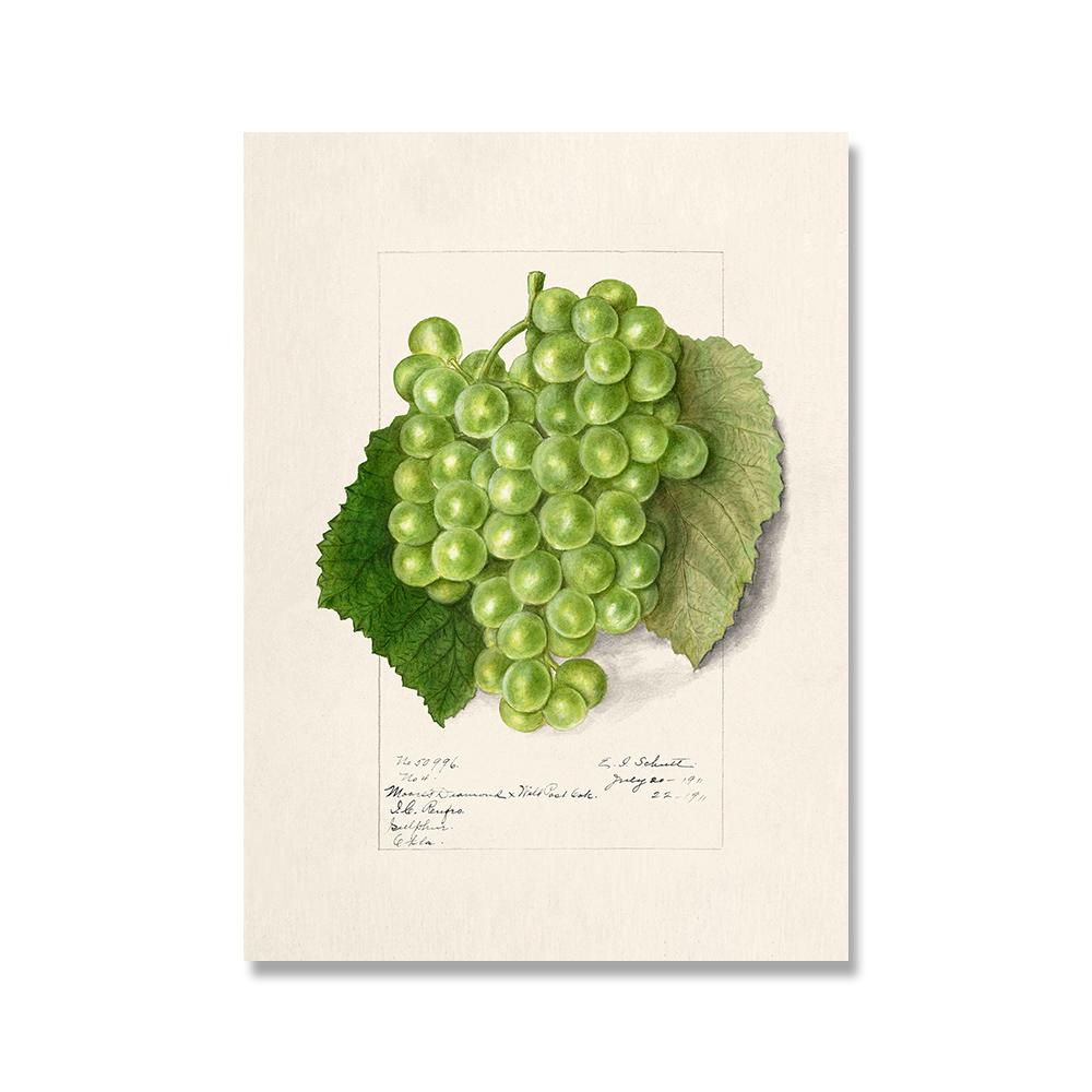 Винтажный Ретро постер с фруктами, авокадо, клубникой, скандинавский холст, картина, настенные художественные картины, принты для декора кухни и комнаты