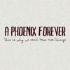 CD A PHOENIX FOREVER - This Is Why We Can't Have a Nice Th CKCS2014 Japan ObiMusic Others Used