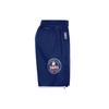 Nike Шорты NBA Brooklyn Nets City Edition 75-й Юбилейный Swingman DB4126-492