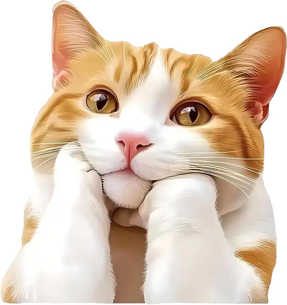 Two Thinking Cat Pack Vinyl Decal Sticker, Waterproof Poly Beer Covered for Cars, Laptops and Smooth Surfaces A098