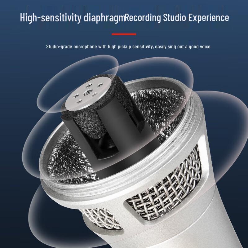 Depusheng V300 Профессиональный студийный конденсаторный микрофон