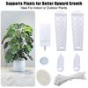 Self-Watering Moss Poles for Climbing Plants Indoor D Shape Plant Support Stake Kit Semi Transparent Monstera Support Stake for Indoor Plants