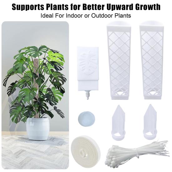 Self-Watering Moss Poles for Climbing Plants Indoor D Shape Plant Support Stake Kit Semi Transparent Monstera Support Stake for Indoor Plants