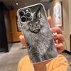 Чехол для телефона Для iphone 17 Pro Max Air 16 15 14 13 Pro Max 15 16 Pro 15Plus Мейн-кун Кот