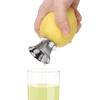 Fruit Tool Gadgets Stainless Steel Juice Squeeze Manually Lemon Squeezer Hand Juicer Pourer Screw For Lemon Orange Limes Citrus