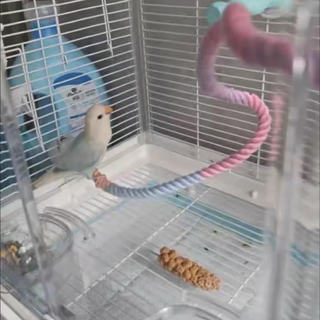 35/80 см веревка для жердочки для птиц градиентная цветная для клеток для птиц гибкая веревка для лазанья клетка аксессуар игрушка для кореллы волнистого попугайчика неразлучника планера