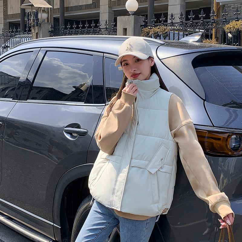 Женское осенне-зимнее однотонное пальто с воротником-стойкой без рукавов и большим карманом на молнии, свободный универсальный теплый хлопковый жилет