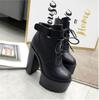 Fashion 2024 New Women's Sexy Winter Black Boots Platfrom Boot Women Fashion Shoes Thick High Heel Boots Ankle Boots