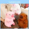 Cute And Adorable New Breathable Bear Capybara Plush Toy With Music For Kids