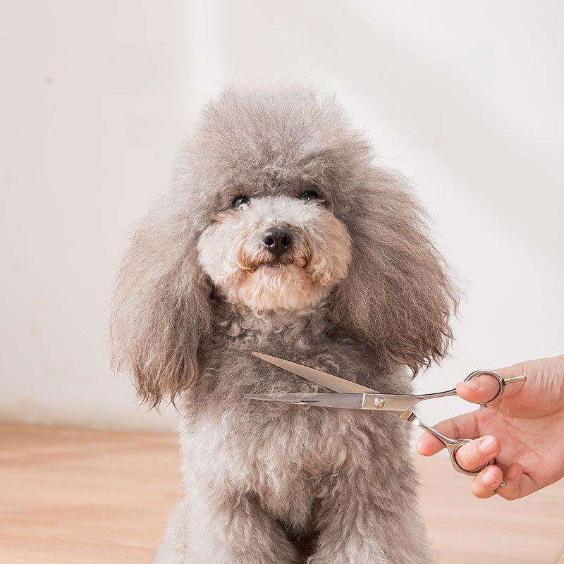 Pet Grooming Scissors Kit Stainless Steel Straight Thinning Shear Non‑jamming Trimming Tool for Dogs Cats