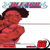Bleach Vol. 66 by Tite Kubo Paperback Book 9781421582627