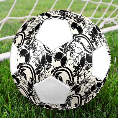 1pc Fruit Leaf Durable Soccer Ball/Football, Size 5, Perfect for Training, Entertainment And Competition,Gift Yy26060629