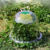 Plant Cloche Reusable Propagation Cover Transparent Garden Bell Plant Hat for Plant Frost Protection Snail Protection