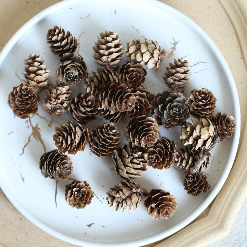 Dried Real Flowers & Materials: Pine Cones, Acorns, Cotton, Adhesives, Sunflowers - DIY Scented Floral Decor & Photography Props