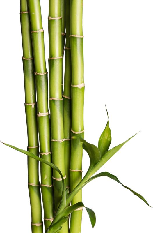 Bamboo Bathroom Cabinet With 3 Storage Shelves 87X66X33Cm