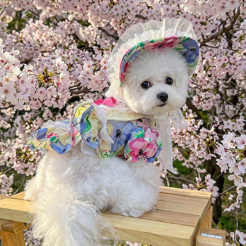 Luxury Floral Dog Costume Dog Dress and Hat Set Chihuahua Dog Clothes Small Dogs Bichon Clothing Female Dog Dresses Cat Skirt