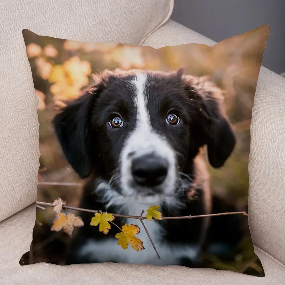Милый Домашний Питомец Наволочка Шотландия Бордер Колли Наволочка для Дивана Автомобильного Декора Принт Собаки Мягкая Плюшевая Наволочка