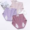 Panties Plus Size Underwear Women Physiological Period Panties Comfortable Briefs Underpants