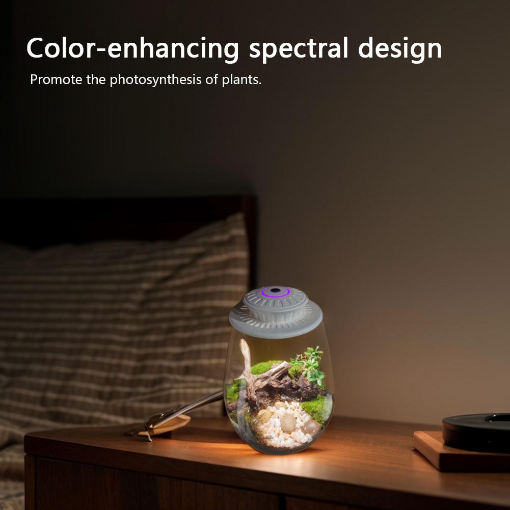 Стеклянный террариум для суккулентов с подсветкой для растений, настольный стеклянный террариум для растений для дома, сада, офиса, настольное украшение
