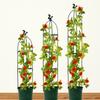 Rose Tomato Balcony Gardening Support Rod Planting Rack Climbing Vine Rack Flower Pot Holder