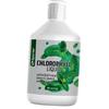 Chlorophyll Liquid, Chlorophyll Liquid, 450ml Mint (70584001)