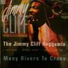 12-дюймовая пластинка JIMMY CLIFF - The Jimmy Cliff Reggamix (Тираж Vi 6593356 Версаль 1993 Франция Регги, Ска и Даб Б/У