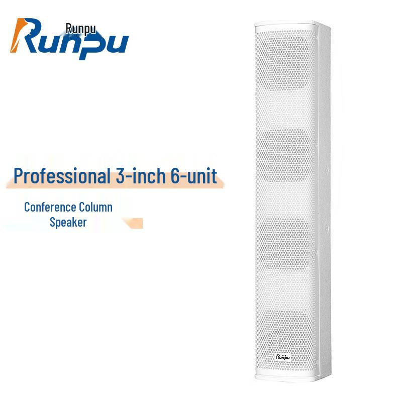 Runpu Professional Conference & Auditorium Audio Systems CN plug (adapter included)