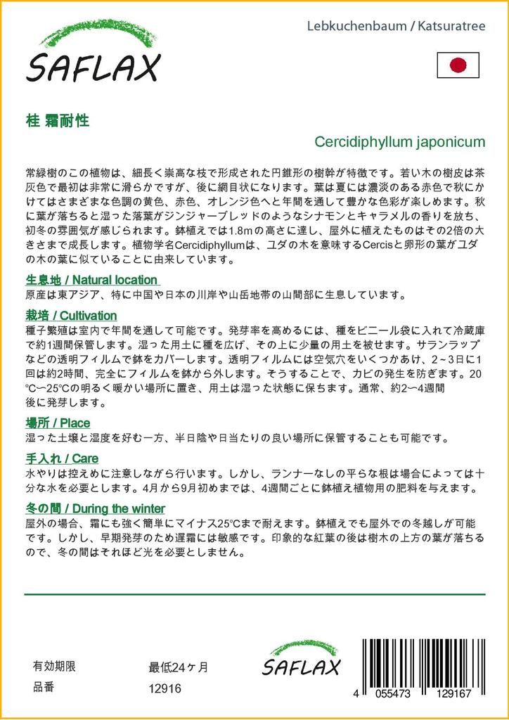 SAFLAX Кацуратри - 200 семян - Cercidiphyllum japonicum