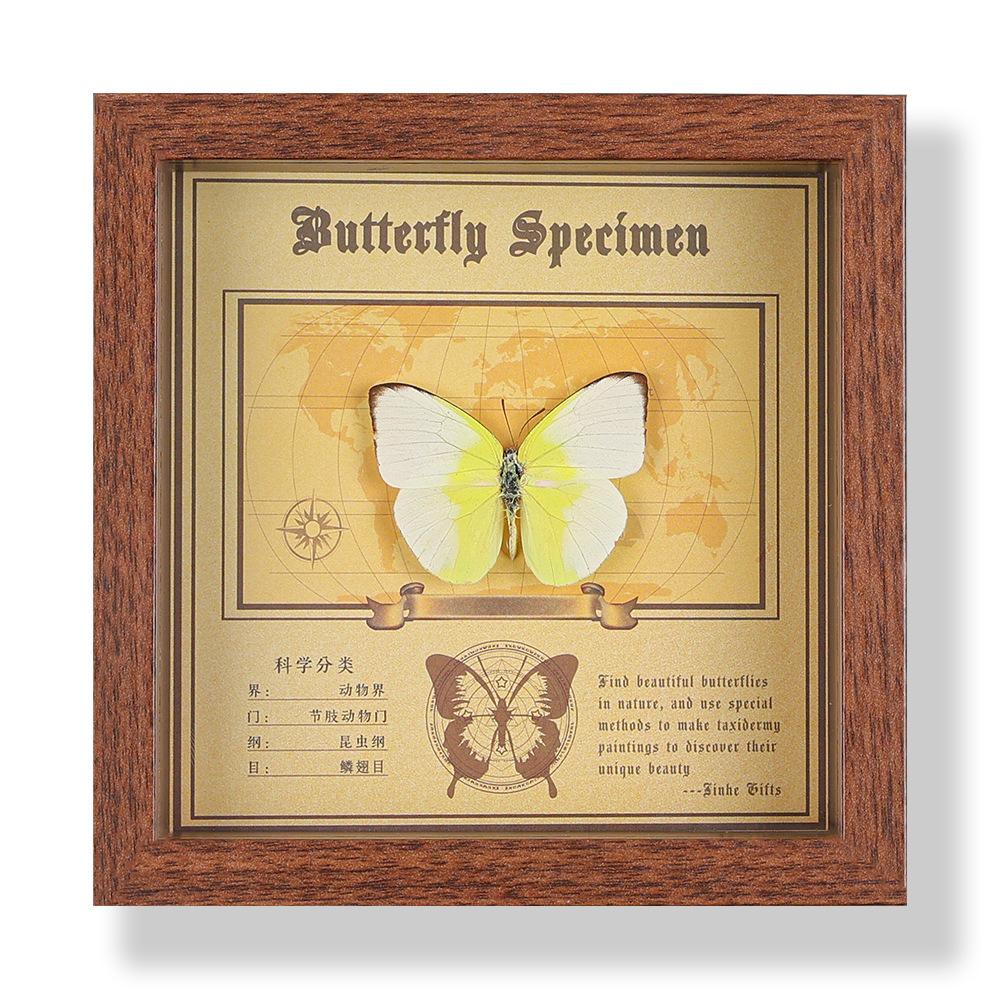 Фото рамка с настоящим specimen бабочки, декоративная картина, 3D украшение, ручная работа DIY, подарок на день рождения, specimen насекомого