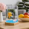 Glass Betta Fishtank High Transparency Mini Landscaping Tank Desktop Fish Tank  Desktop Decoration