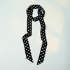 French Black and White Polka Dot Thin and Narrow Strip Necklace Tie Neck High-end Hanging Neck Fashion High-end Silk Scarf Temperament Necklace