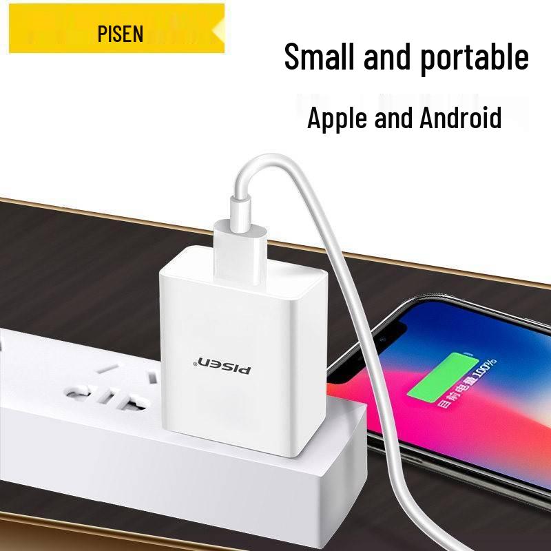 PISEN Двухпортовое USB-зарядное устройство, Быстрая зарядка для Apple, Android и планшетов.