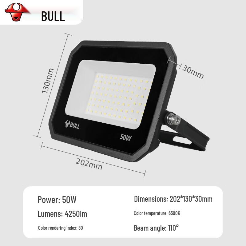 BULL LED Outdoor Industrial Flood Light