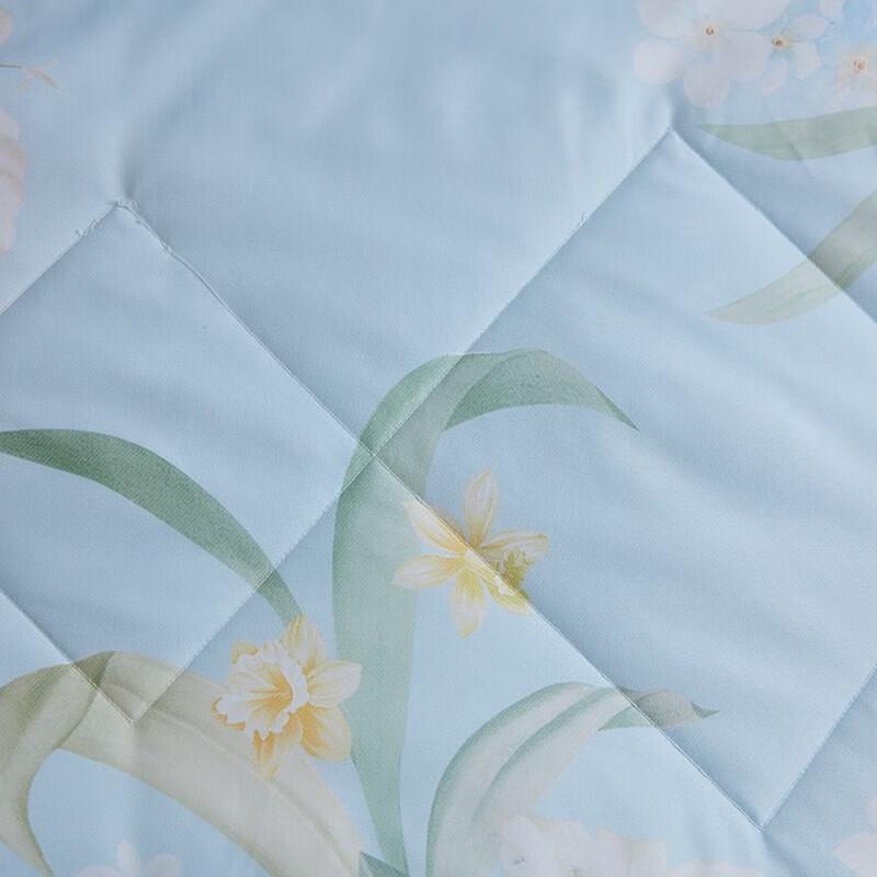 Mengjie Mugwort Antibacterial Summer Quilt
